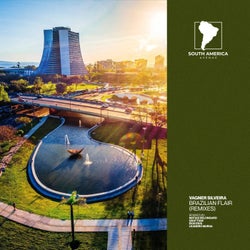 Brazilian Flair (Remixes)