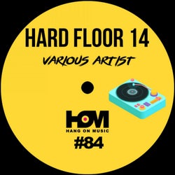 Hard Floor 14