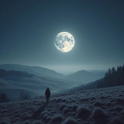Moonlight