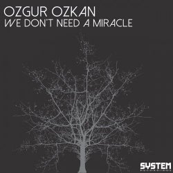 We Don't Need A Miracle