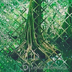 Rain Forest