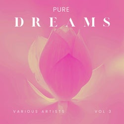 Pure Dreams, Vol. 3