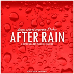 After Rain (The Remixes)