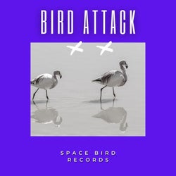 Bird Attack 1