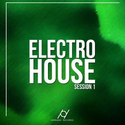 Electro House Session 1