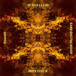Hi Tech Lo Life