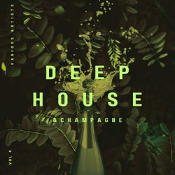 Deep-House and Champagne, Vol. 4