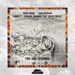 You Are Istanbul #1