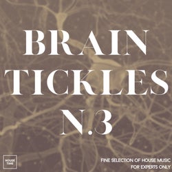 Brain Tickles N. 3 - Fine Selection of House Music for Experts Only
