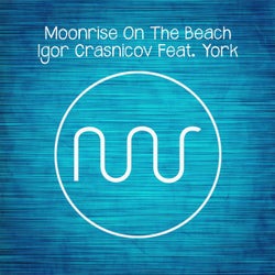 Moonrise On The Beach