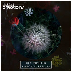 Harmonic Feeling