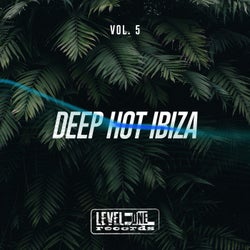 Deep Hot Ibiza, Vol. 5