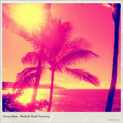 Waikiki Beach Dreaming