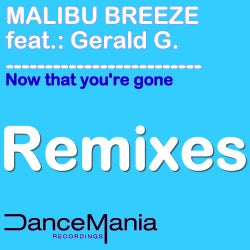 Now That You're Gone (Remixes)
