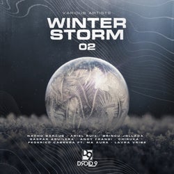 Winter Storm 02