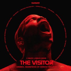 The Visitor