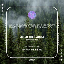 Enter the Forest