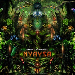 Nyaysa IV