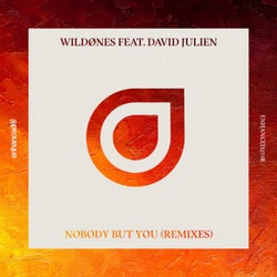 Nobody But You (Remixes)