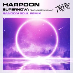 Supernova (feat. Lauren L'aimant) [Random Soul Extended Remix]