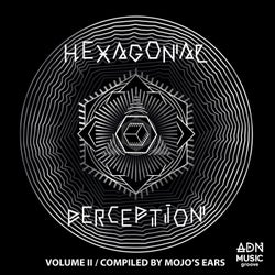 Hexagonal Perception, Vol. 2