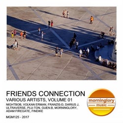 Friends Connection, Vol. 1