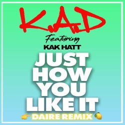 Just How You Like It (DAIRE Extended Remix)