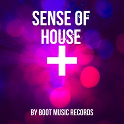 Sense Of House By Boot Music Records