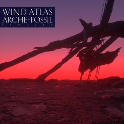 Arche-Fossil - Remixes