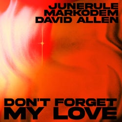Don't Forget My Love