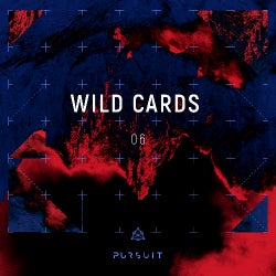 WILD CARDS 06