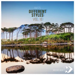 Different Styles Vol.10