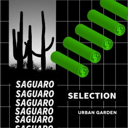 Saguaro Selection
