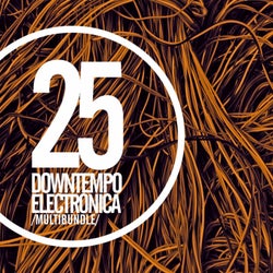 25 Downtempo Electronica Multibundle