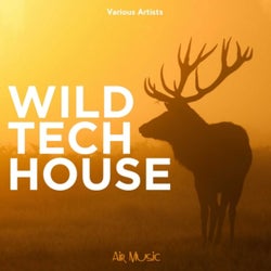 Wild Tech House