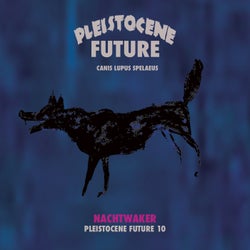 Pleistocene Future 10
