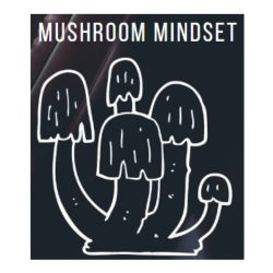 mushroom mindset - end of april