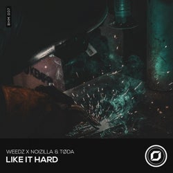 Like It Hard (feat. Tøda)