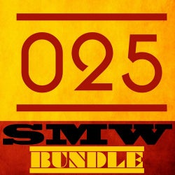 SMW Bundle 025