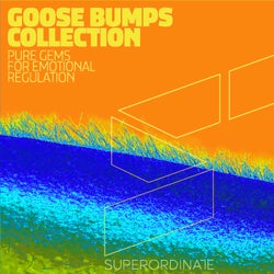 Goose Bumps Collection, Vol. 10