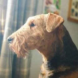 PTDJA - Chapter 3 Record Bag - Peak Time Set