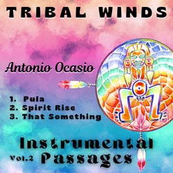 Instrumental Passages, Vol. 2