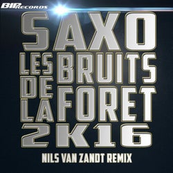 Les Bruits de la Foret 2016 Nils van Zandt Extended Mix