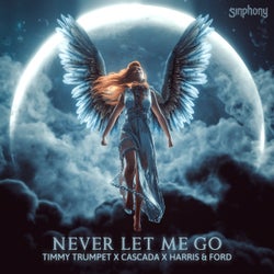 Never Let Me Go (Extended Mix)