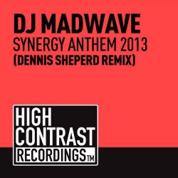 Synergy Anthem 2013 (Dennis Sheperd Remix)