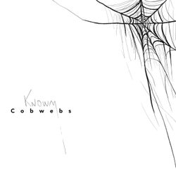 Cobwebs