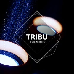 Tribu