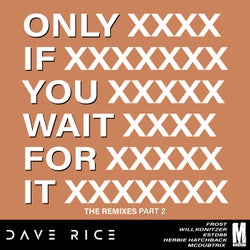 Only if You Wait for It Remixes, Pt. 2