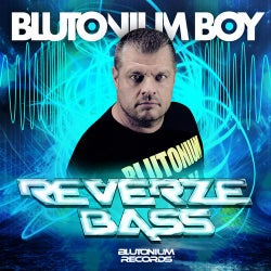 Reverze Bass