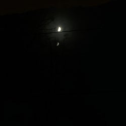 ᶋ֍₹LUNARSHARDᶋ֍₹